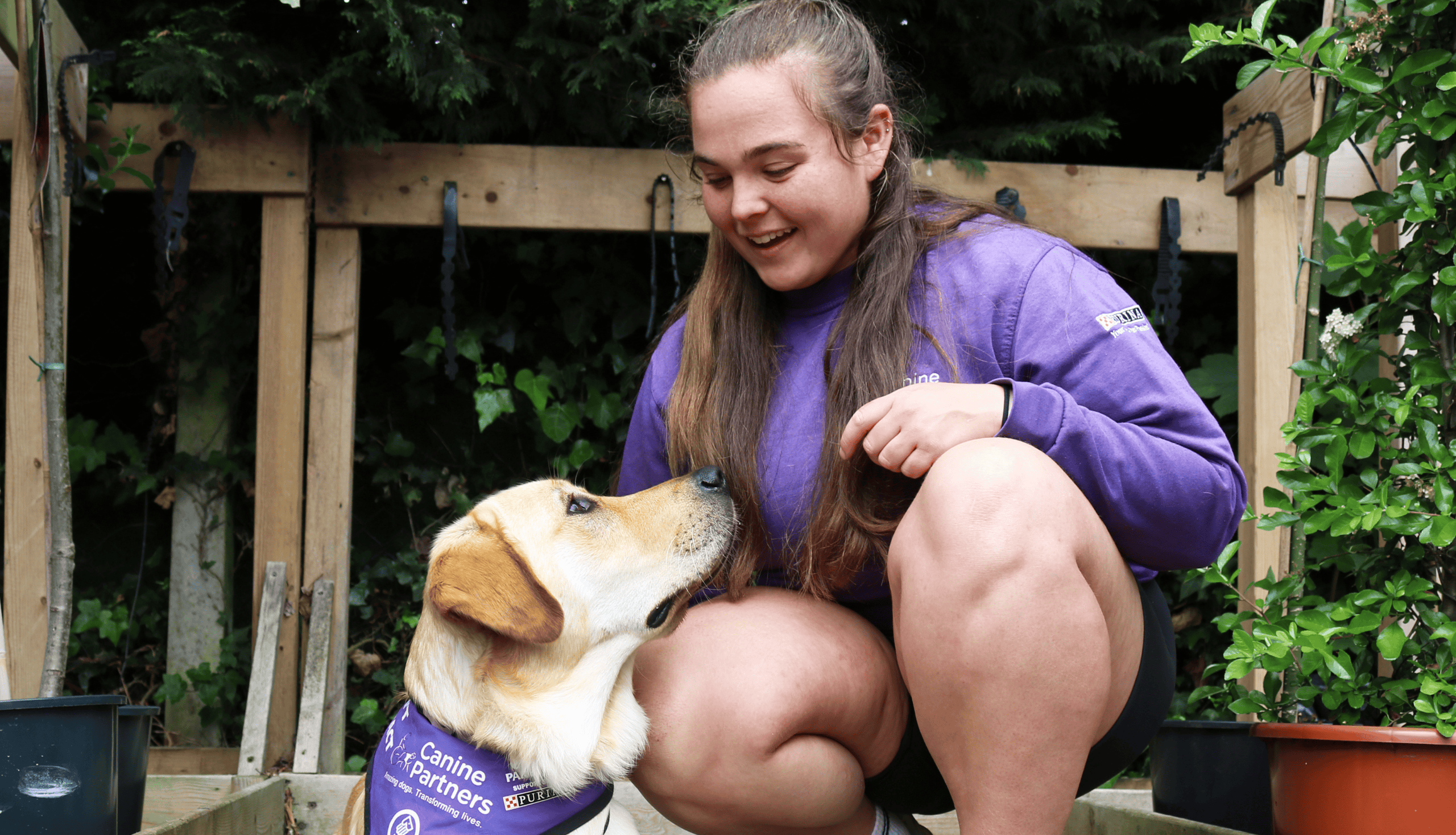 Assistance dog looking up at their trainer