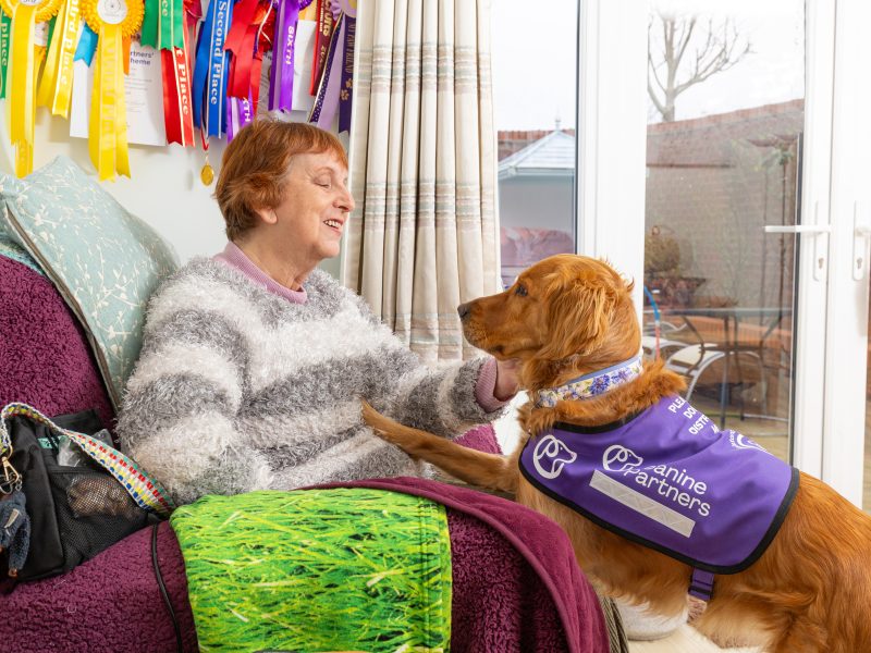 Meet Hazel and canine partner Tink