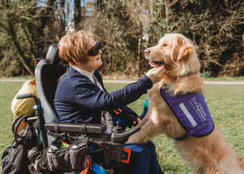 Assistance dog James bonding with their partner Sue